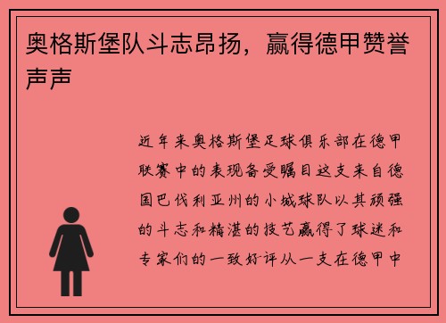 奥格斯堡队斗志昂扬，赢得德甲赞誉声声