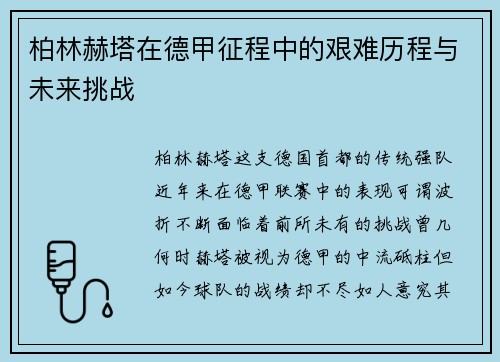 柏林赫塔在德甲征程中的艰难历程与未来挑战
