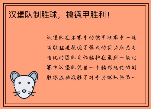 汉堡队制胜球，擒德甲胜利！