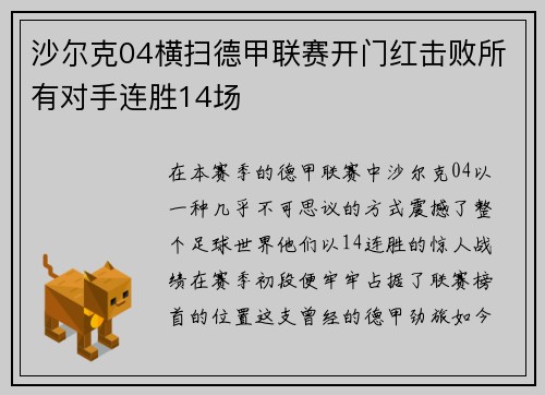 沙尔克04横扫德甲联赛开门红击败所有对手连胜14场